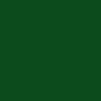 Evergreen 009