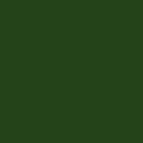 Moss 031